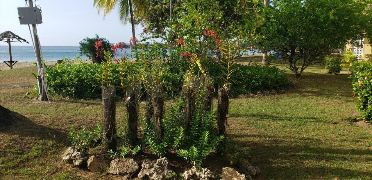 Starfish Tobago Hotel Black Rock Exterior foto