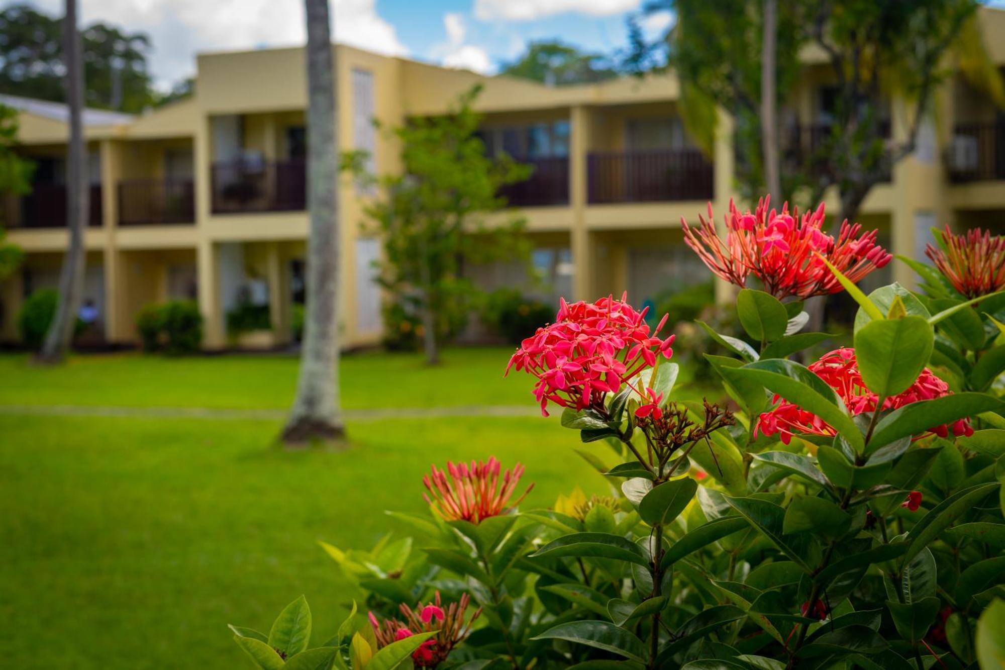 Starfish Tobago Hotel Black Rock Exterior foto