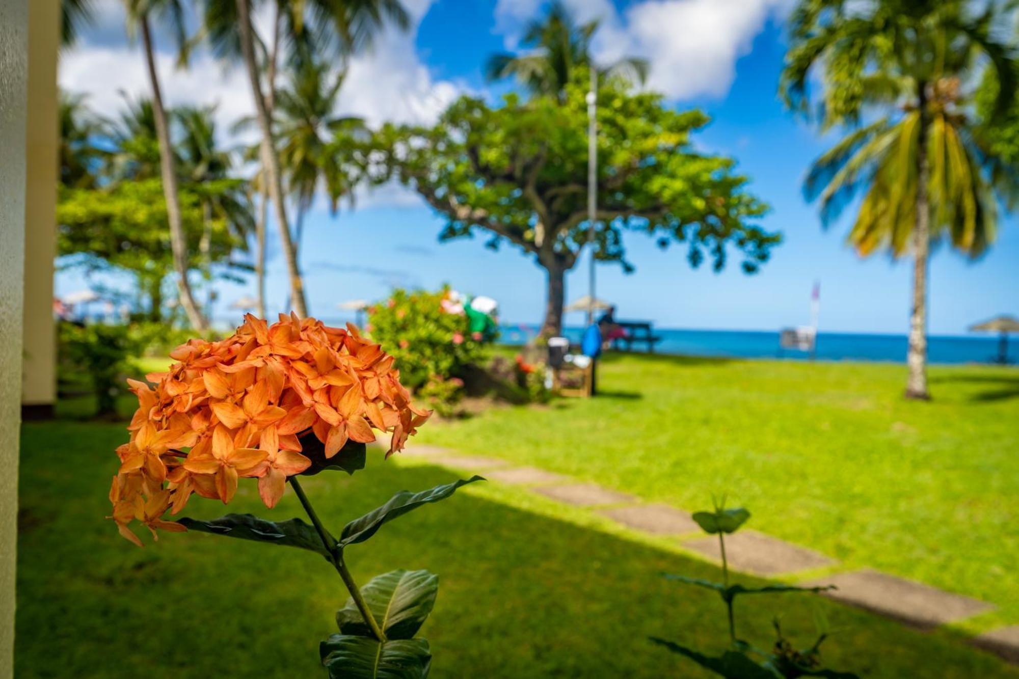 Starfish Tobago Hotel Black Rock Exterior foto